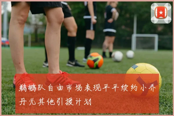 鹈鹕队自由市场表现平平续约小乔丹无其他引援计划