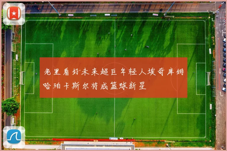 老里看好未来超巨年轻人埃奇库姆哈珀卡斯尔将成篮球新星